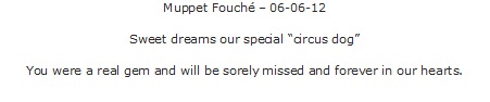 Muppet Fouche Muppet Fouche